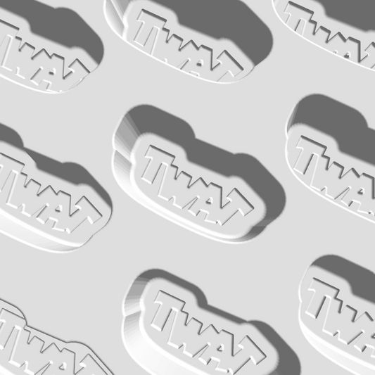 Swear Jar/ Cuss Words Confetti Moulds and Plungers (Sold as a complete set) OR (SOLD Separately)